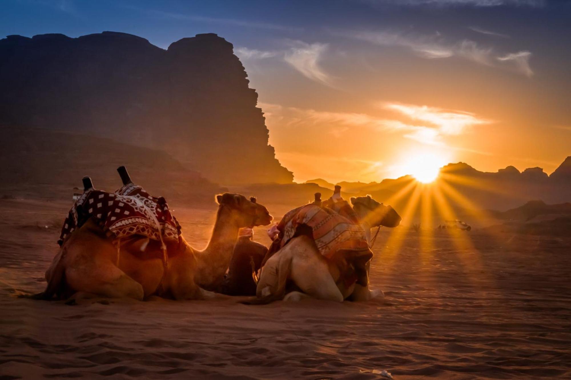 Wadi Rum Mundo Camp Akaba Exterior foto